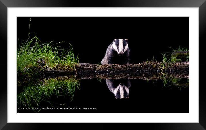 Nocturnal Badger Reflection Framed Mounted Print by Ian Douglas