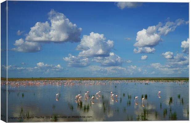  Flamingoes Sky Reflection Canvas Print by Karin Tieche
