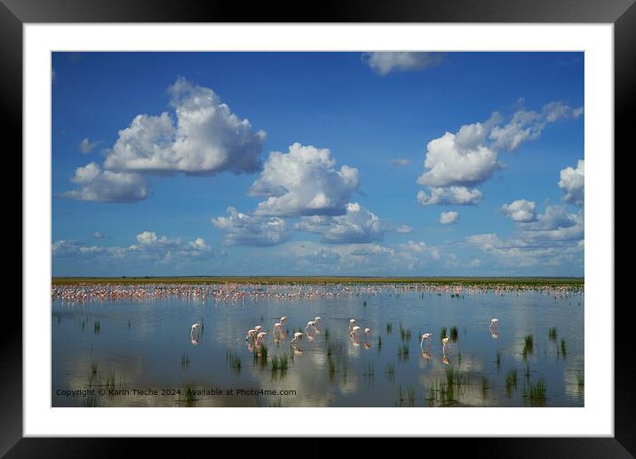  Flamingoes Sky Reflection Framed Mounted Print by Karin Tieche