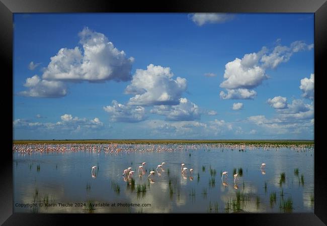  Flamingoes Sky Reflection Framed Print by Karin Tieche