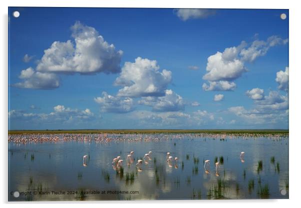  Flamingoes Sky Reflection Acrylic by Karin Tieche