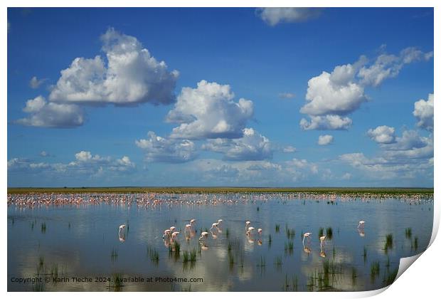  Flamingoes Sky Reflection Print by Karin Tieche