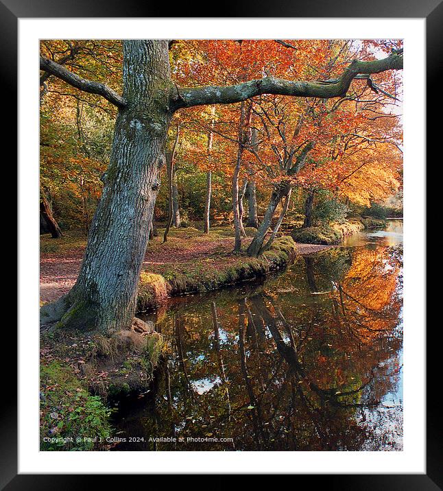 River Bank Colour Framed Mounted Print by Paul J. Collins