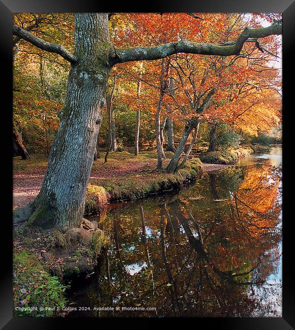 River Bank Colour Framed Print by Paul J. Collins