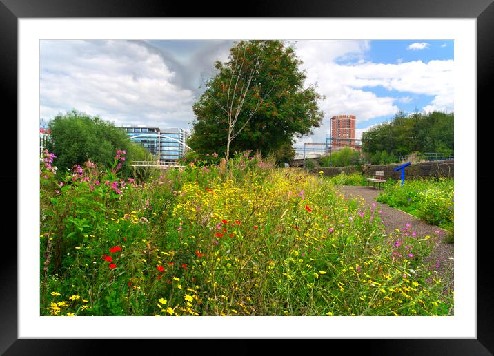 Leeds City Centre Oasis Framed Mounted Print by Alison Chambers