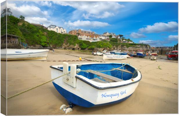 Newquay Harbour Canvas Print by Alison Chambers