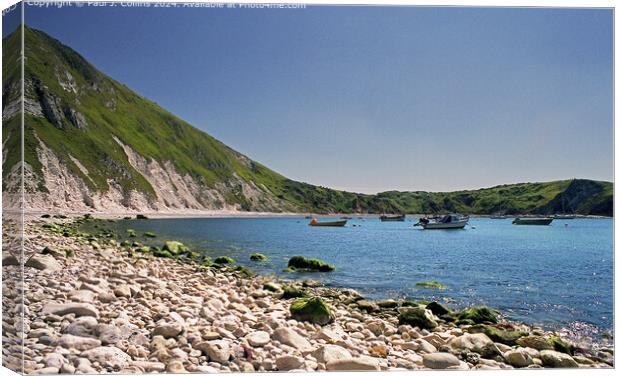 Lulworth Cove Canvas Print by Paul J. Collins