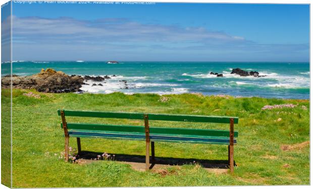 Bench and Sea View Guernsey Coast Canvas Print by Pearl Bucknall