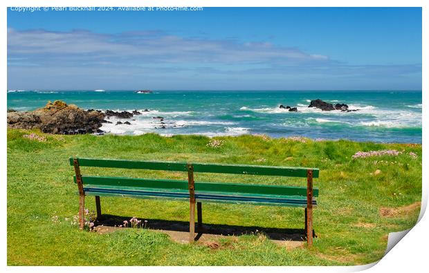 Bench and Sea View Guernsey Coast Print by Pearl Bucknall