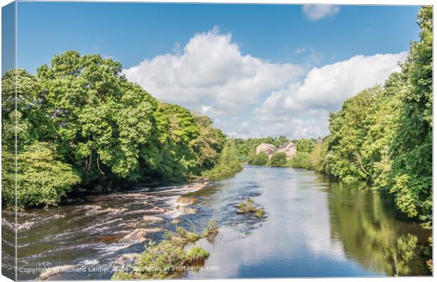 Spring Morning on the River Tees from Demesnes Mill, Barnard Castle Canvas Print by Richard Laidler