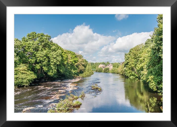 Spring Morning on the River Tees from Demesnes Mill, Barnard Castle Framed Mounted Print by Richard Laidler