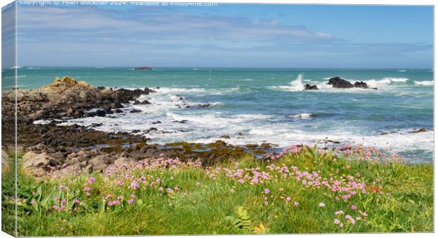 Thrift or Sea Pink on Guernsey Coast Canvas Print by Pearl Bucknall