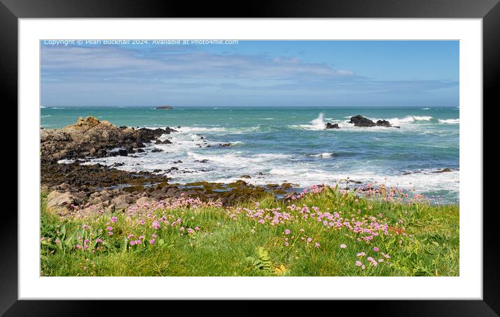 Thrift or Sea Pink on Guernsey Coast Framed Mounted Print by Pearl Bucknall