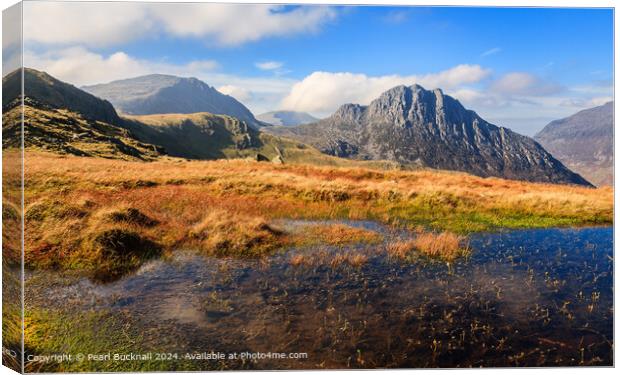 Snowdonia Uplands and Tryfan in Autumn Canvas Print by Pearl Bucknall
