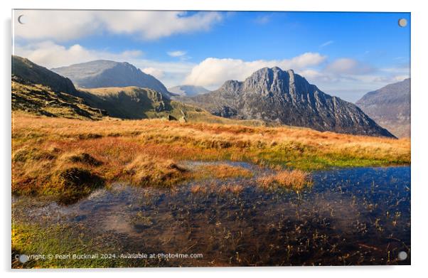 Snowdonia Uplands and Tryfan in Autumn Acrylic by Pearl Bucknall