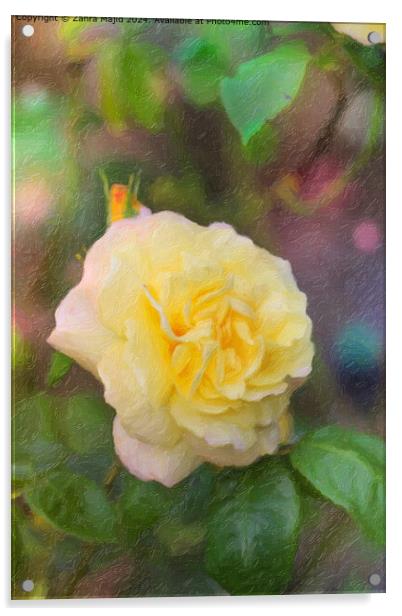 Hybrid Tea Rose from our Garden Acrylic by Zahra Majid