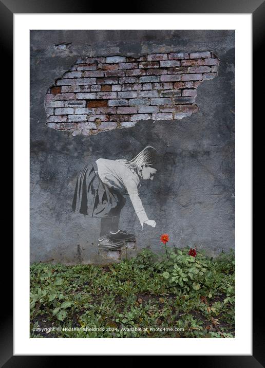 Graffiti girl picks real flower Framed Mounted Print by Heather Sheldrick