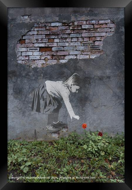 Graffiti girl picks real flower Framed Print by Heather Sheldrick