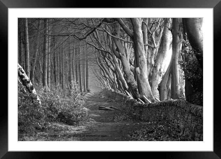 Beech Tree Lined Path Framed Mounted Print by Simon Annable