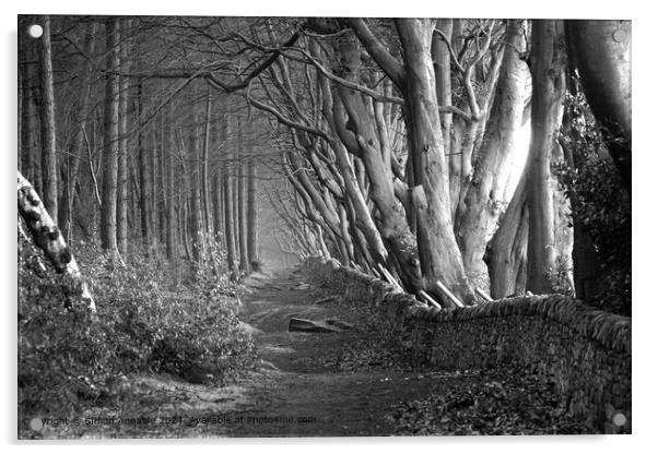 Beech Tree Lined Path Acrylic by Simon Annable