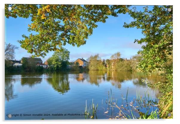 Wyvern Avenue Pond Landscape Acrylic by Simon Annable