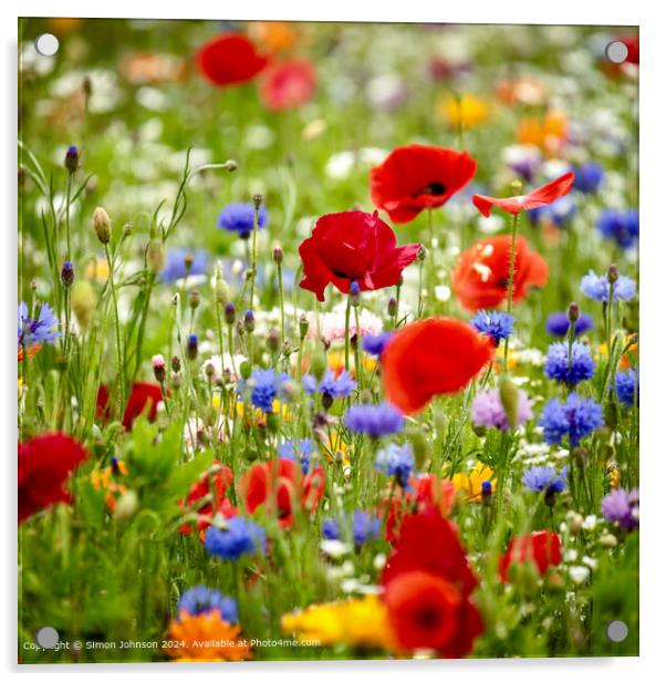 Poppy Meadow Cotswolds Landscape Acrylic by Simon Johnson