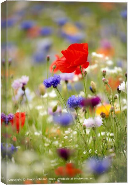 Colourful Wildflower Meadow, Cotswolds Canvas Print by Simon Johnson