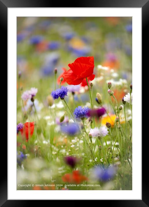 Colourful Wildflower Meadow, Cotswolds Framed Mounted Print by Simon Johnson