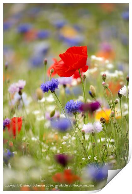 Colourful Wildflower Meadow, Cotswolds Print by Simon Johnson
