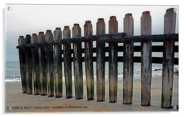 Ventnor Groyne Acrylic by Paul J. Collins