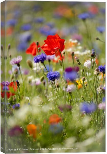 Poppys Meadow Flowers Cotswolds Canvas Print by Simon Johnson