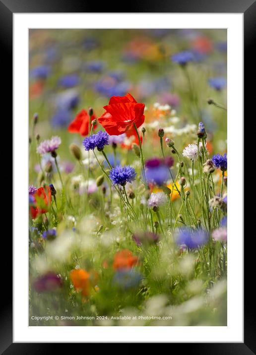 Poppys Meadow Flowers Cotswolds Framed Mounted Print by Simon Johnson