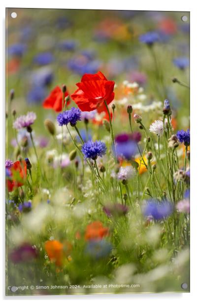 Poppys Meadow Flowers Cotswolds Acrylic by Simon Johnson
