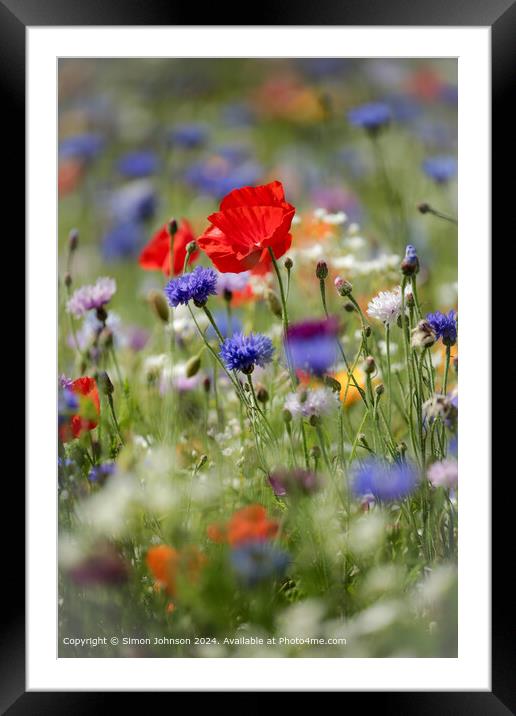 Cotswolds Meadow Flowers Landscape Framed Mounted Print by Simon Johnson