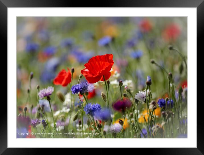 Meadow Flowers Cotswolds Landscape Framed Mounted Print by Simon Johnson