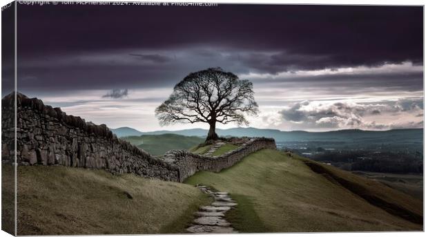 Hadrian's Wall Tree Landscape Canvas Print by Tom McPherson