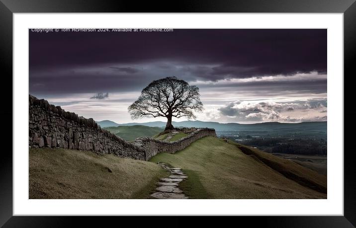 Hadrian's Wall Tree Landscape Framed Mounted Print by Tom McPherson