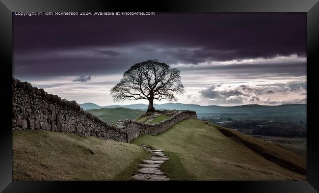 Hadrian's Wall Tree Landscape Framed Print by Tom McPherson