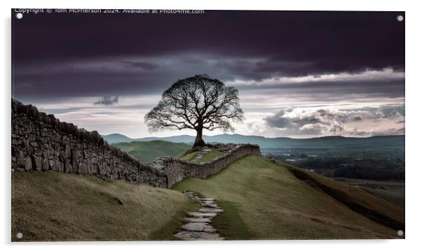 Hadrian's Wall Tree Landscape Acrylic by Tom McPherson