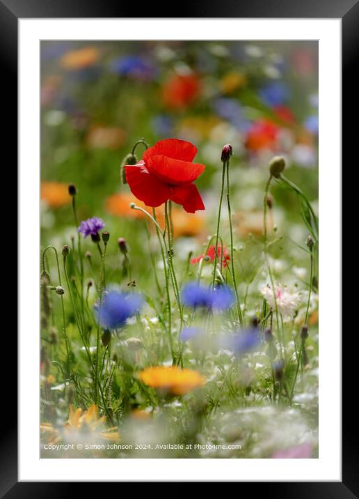 Meadow Flowers Poppys Cotswolds Framed Mounted Print by Simon Johnson