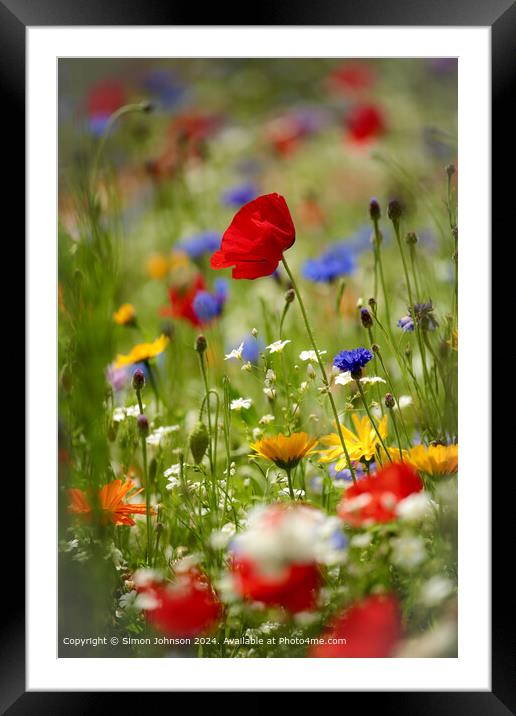 Meadow Flowers Cotswolds Landscape Framed Mounted Print by Simon Johnson