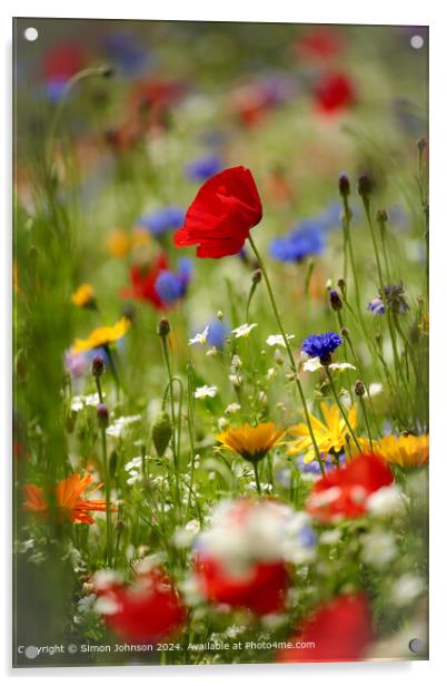 Meadow Flowers Cotswolds Landscape Acrylic by Simon Johnson