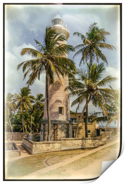 Galle Lighthouse Palm Tree Print by Kevin Hellon