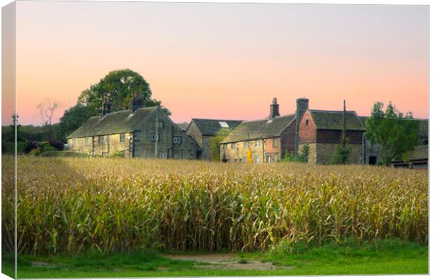 Yorkshire Farmhouse Canvas Print by Alison Chambers