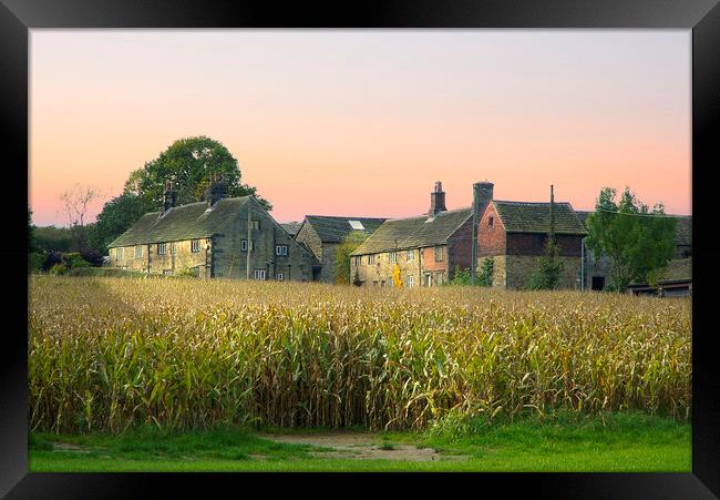 Yorkshire Farmhouse Framed Print by Alison Chambers