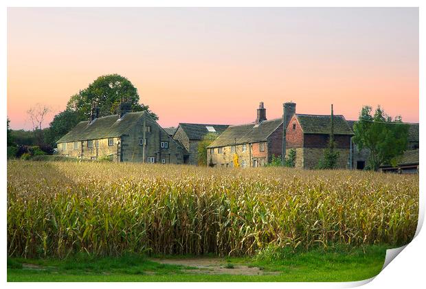 Yorkshire Farmhouse Print by Alison Chambers