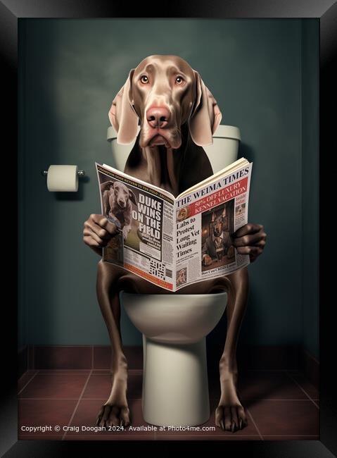 Weimaraner Dog on the Toilet Reading Newspaper Framed Print by Craig Doogan