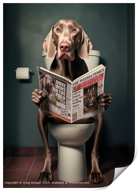 Weimaraner Dog on the Toilet Reading Newspaper Print by Craig Doogan
