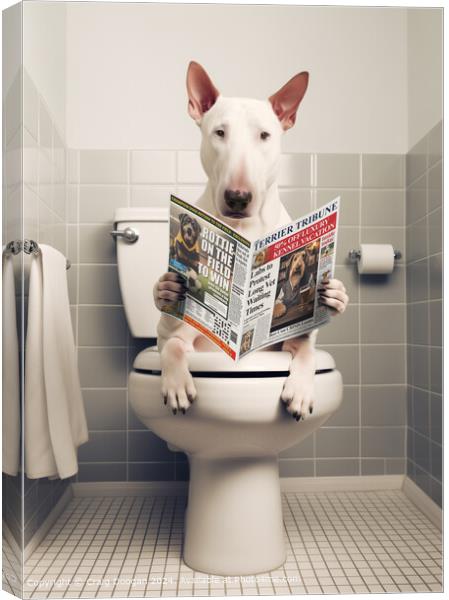 Bull Terrier on the Toilet Reading Newspaper Canvas Print by Craig Doogan