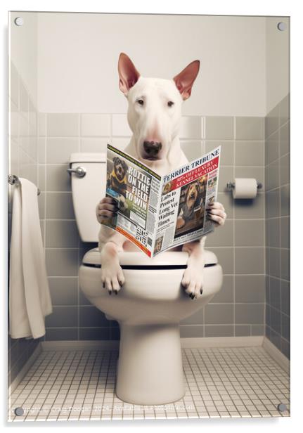 Bull Terrier on the Toilet Reading Newspaper Acrylic by Craig Doogan